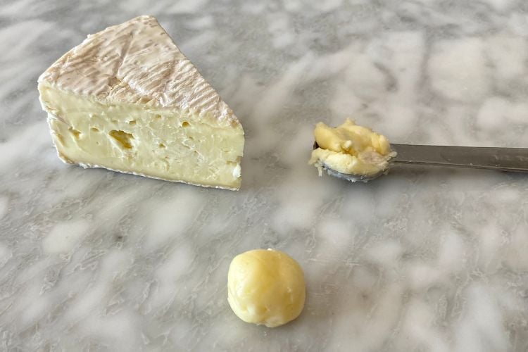 Brie cheese on counter