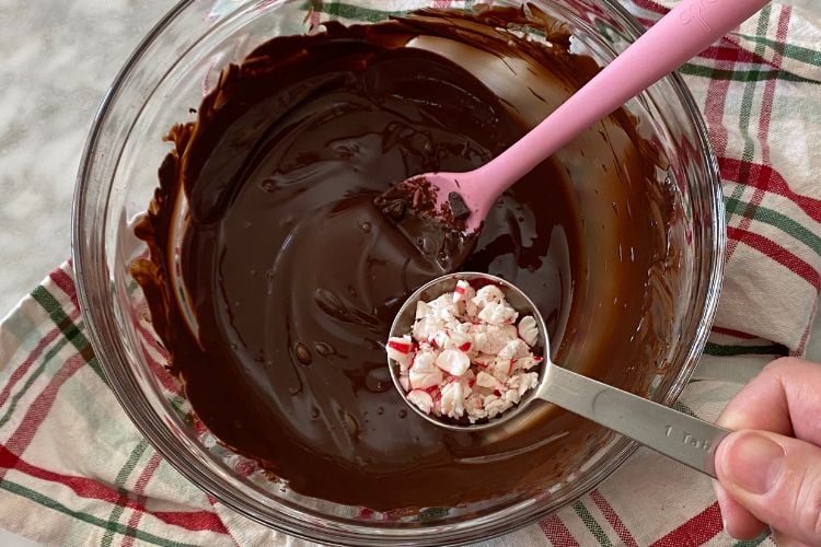 Chocolate Bark With Peppermint