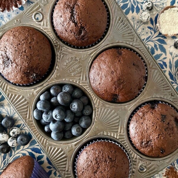 Chocolate Blueberry Muffins