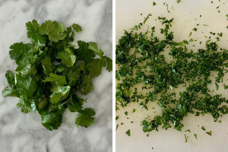 Chopped cilantro leaves
