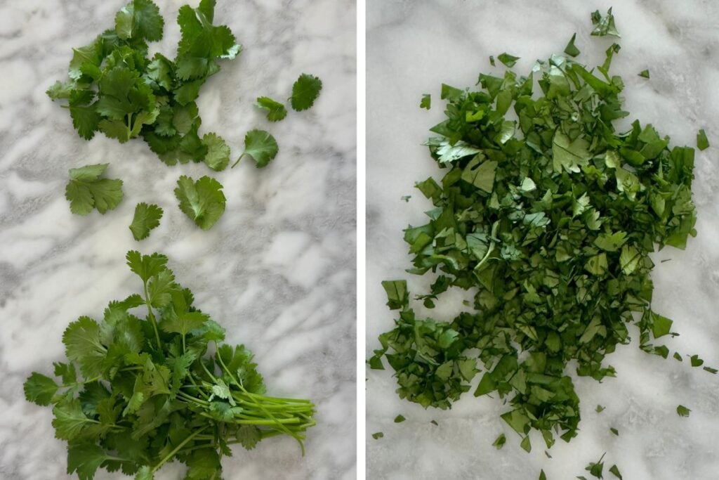 Chopped fresh cilantro