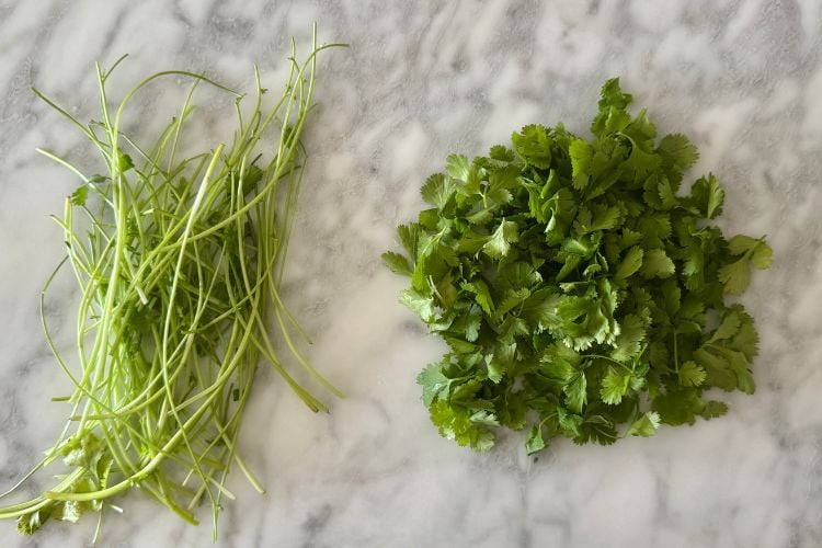 Cilantro leaves with stems removed