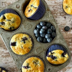 Cottage Cheese Blueberry Muffins
