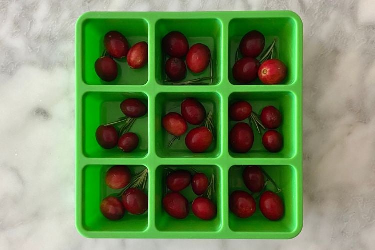 Cranberries and rosemary in ice cube tray