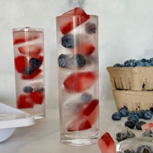Fruit Ice Cubes