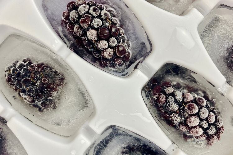 Fruit Infused Ice Cubes