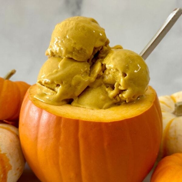 Healthy Ninja Creami Pumpkin Protein Ice Cream in a bowl with fall spices