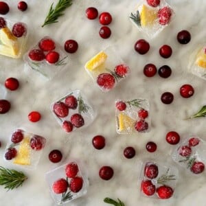 Holiday Ice Cubes
