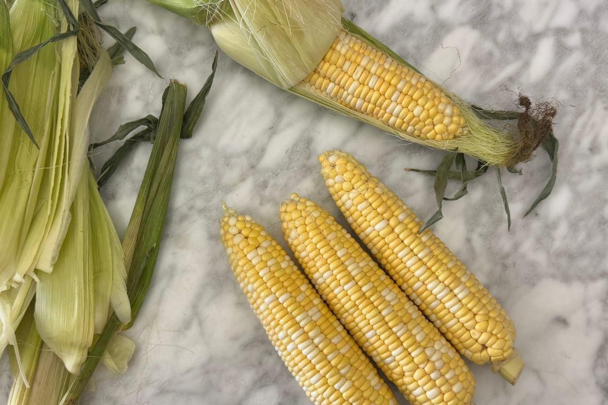 Husked corn on the cob