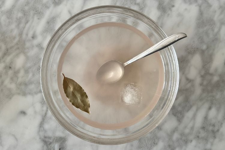 Ice cube and bay leaf in bowl