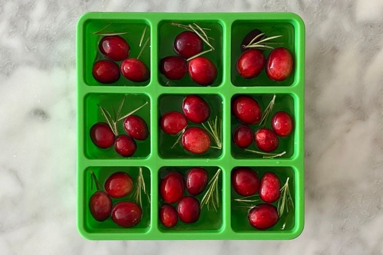 Ice cube tray filled with water