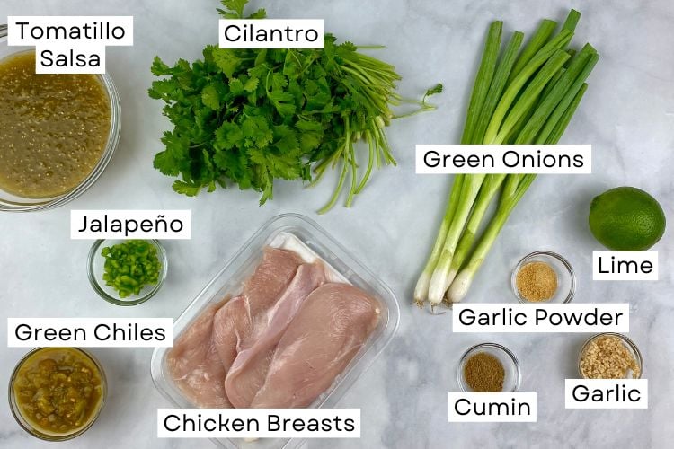 Ingredients For Salsa Verde Chicken