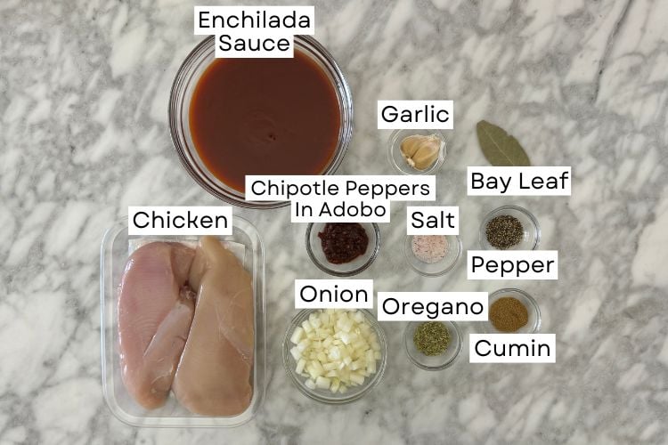 Ingredients for slow cooker chicken tinga