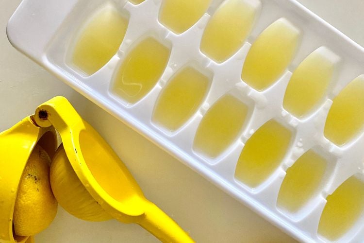 Lemon Fruit Ice Cubes