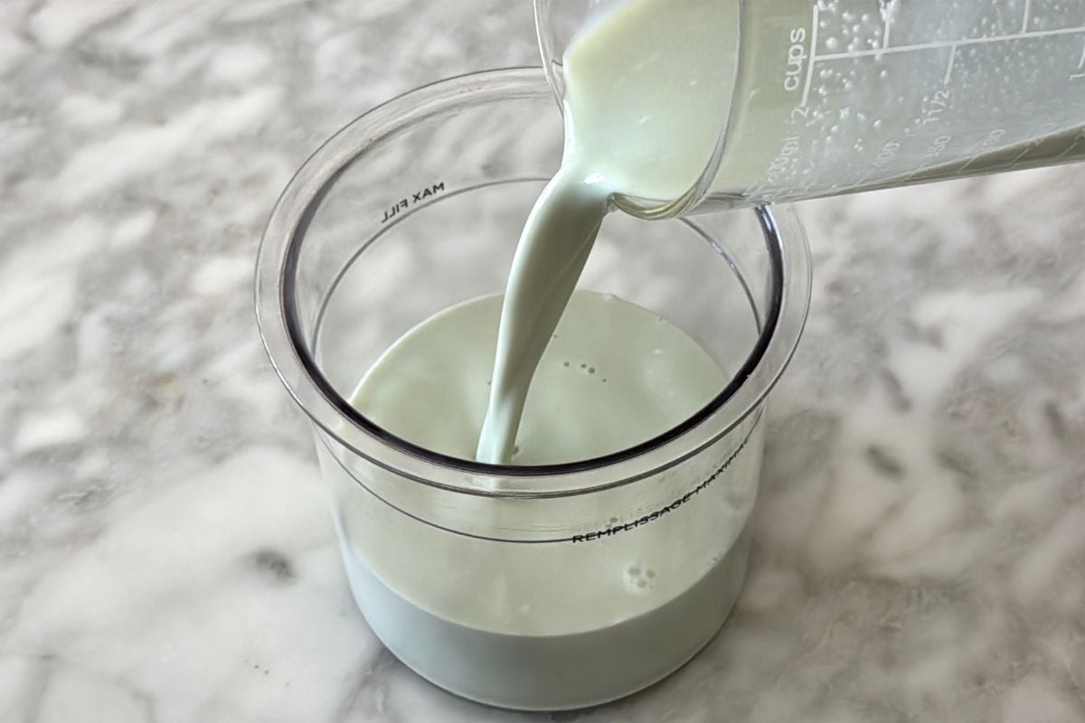 Mint chocolate chip mixture in pint container