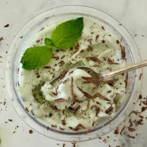 Ninja Creami Mint Chocolate Chip Protein Ice Cream