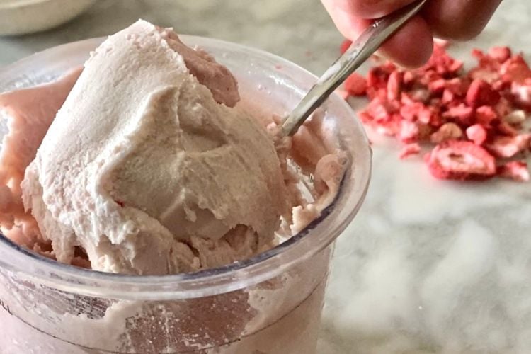 Ninja Creami Recipes