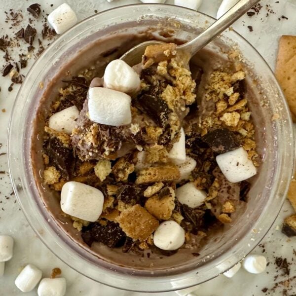 Ninja Creami S'mores Protein Ice Cream