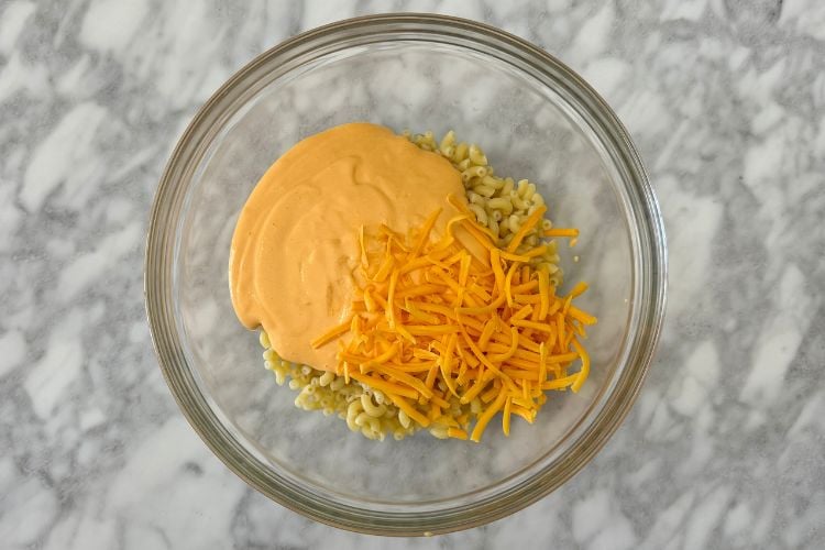 Pasta in bowl with sauce and cheese