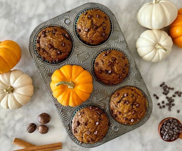 Pumpkin Chocolate Chip Muffins
