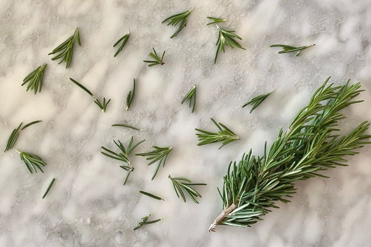 Rosemary sprigs