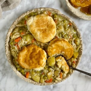 Slow Cooker Chicken Pot Pie Soup