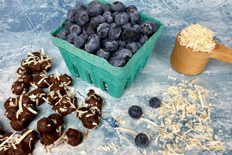 chocolate covered blueberries with coconut