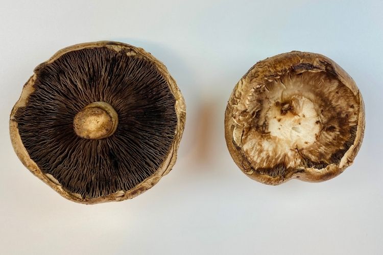 stuffed portobello mushrooms