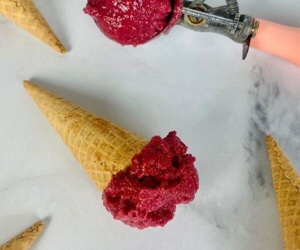 watermelon and raspberry sorbet recipe